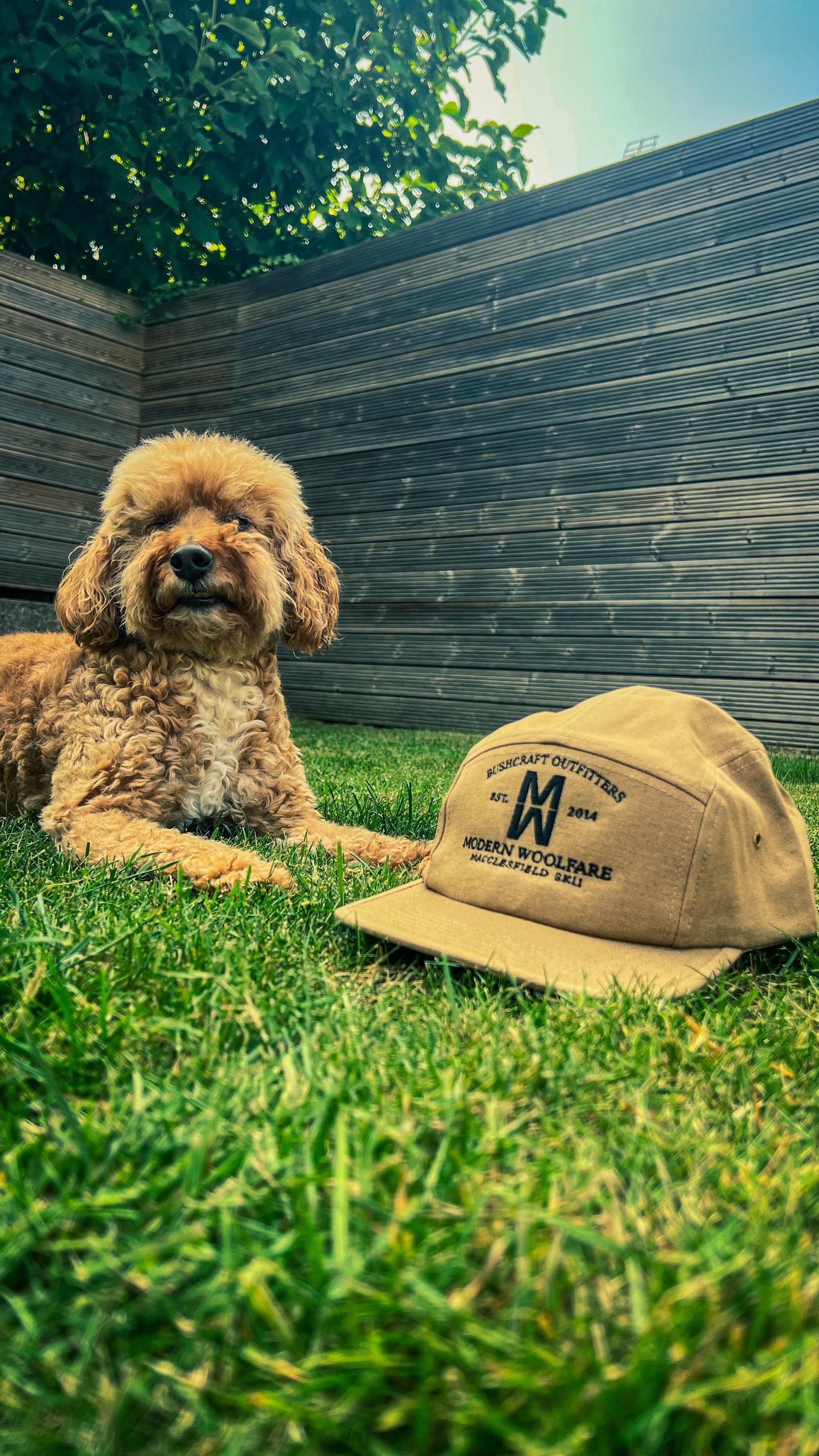 MW embroidered 5 Panel Cap
